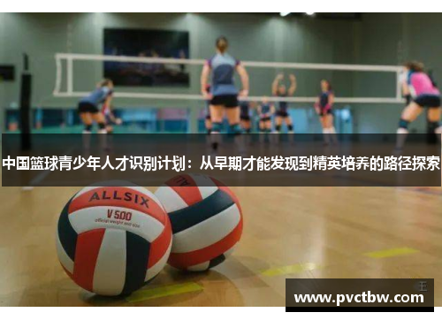中国篮球青少年人才识别计划：从早期才能发现到精英培养的路径探索