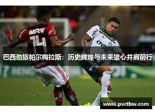 巴西劲旅帕尔梅拉斯：历史辉煌与未来雄心并肩前行