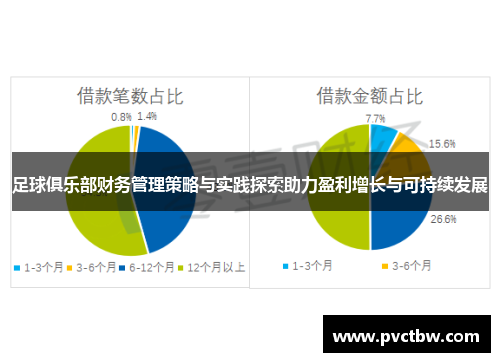 足球俱乐部财务管理策略与实践探索助力盈利增长与可持续发展